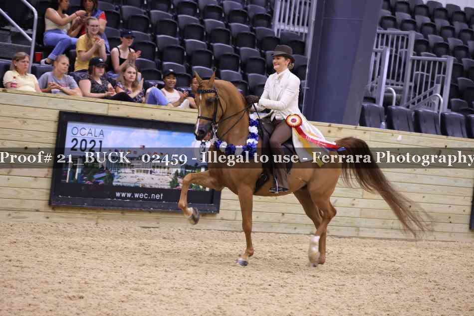 Proof 21_BUCK_02459