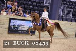 21_BUCK_02459 proof