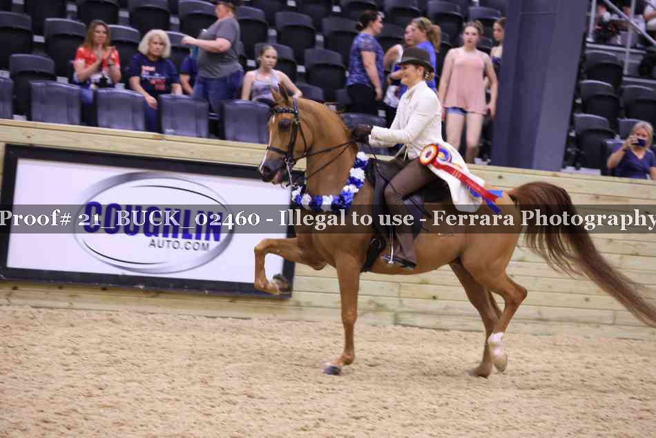 Proof 21_BUCK_02460