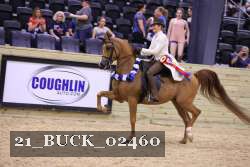 21_BUCK_02460 proof