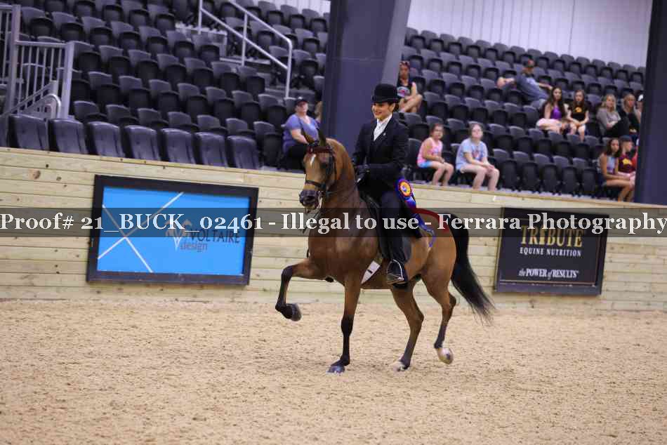 Proof 21_BUCK_02461