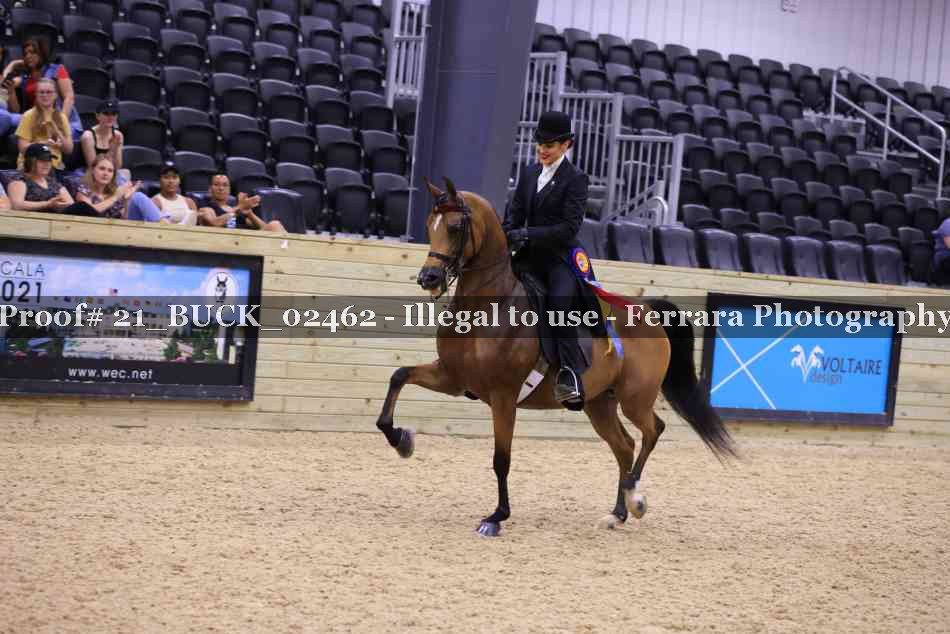 Proof 21_BUCK_02462