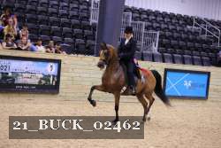 21_BUCK_02462 proof