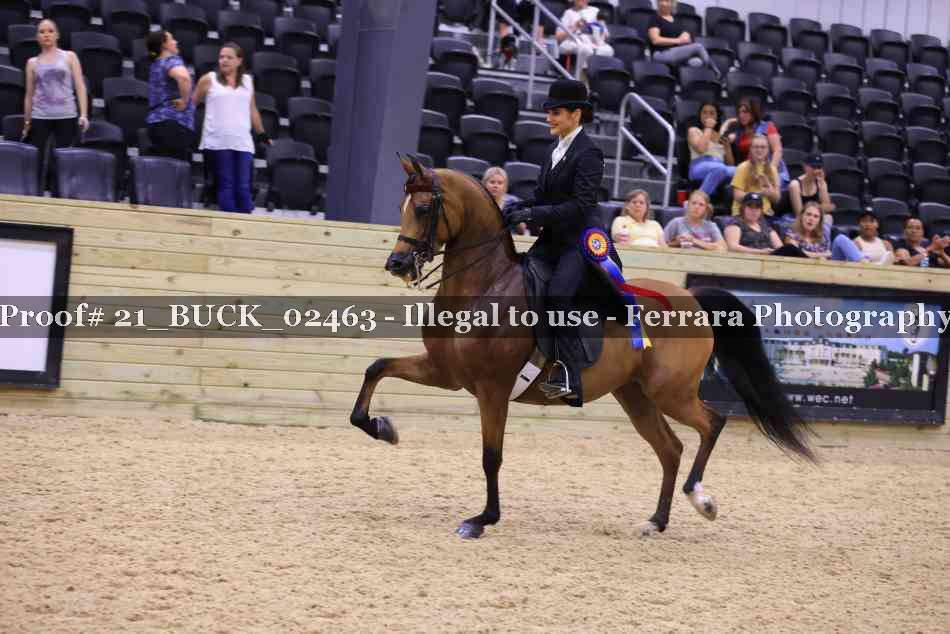Proof 21_BUCK_02463