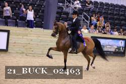 21_BUCK_02463 proof