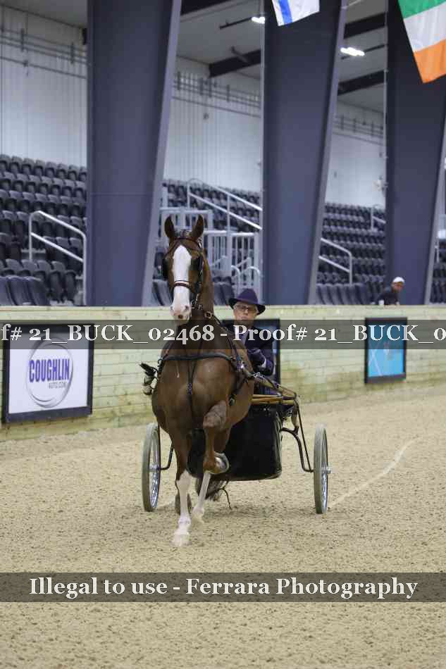 Proof 21_BUCK_02468