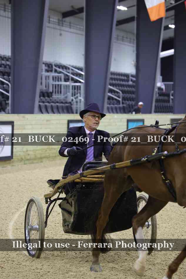 Proof 21_BUCK_02469