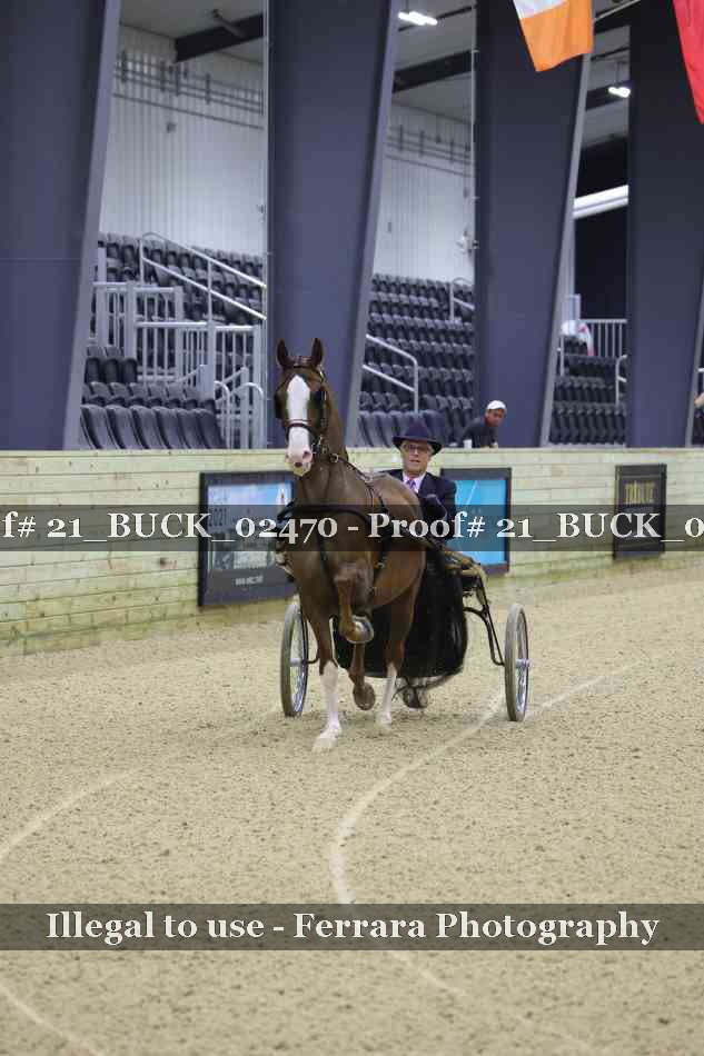 Proof 21_BUCK_02470