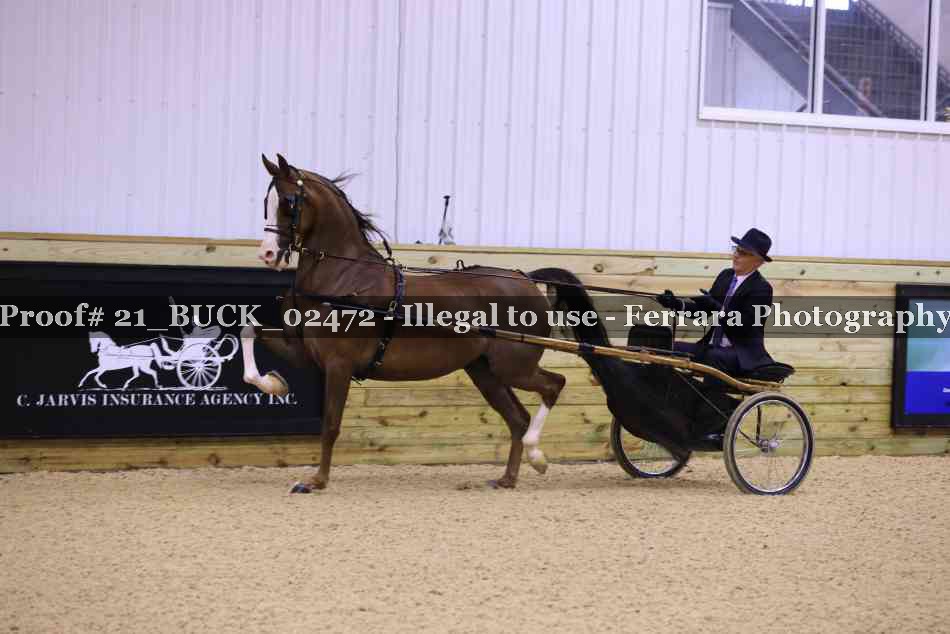 Proof 21_BUCK_02472