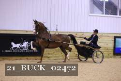 21_BUCK_02472 proof