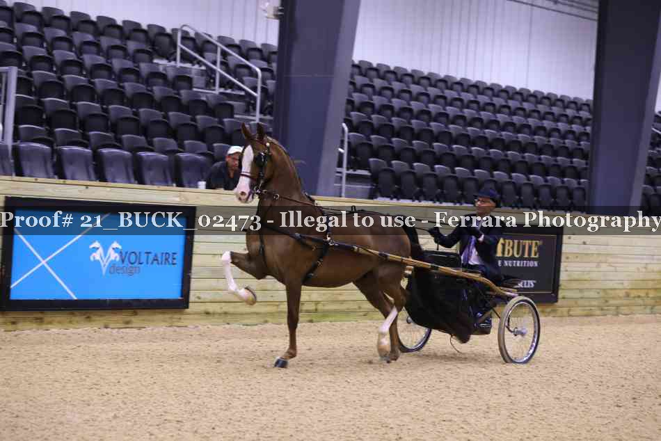 Proof 21_BUCK_02473