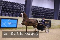 21_BUCK_02473 proof