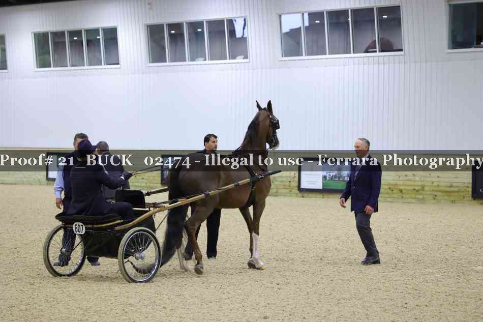Proof 21_BUCK_02474