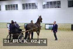 21_BUCK_02474 proof