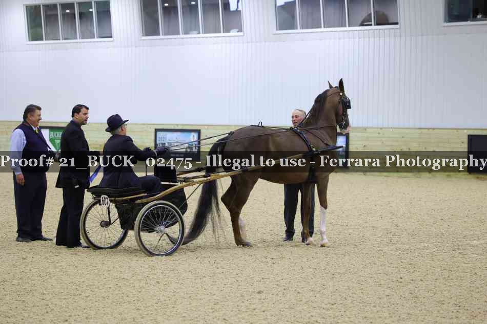 Proof 21_BUCK_02475