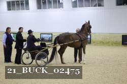 21_BUCK_02475 proof