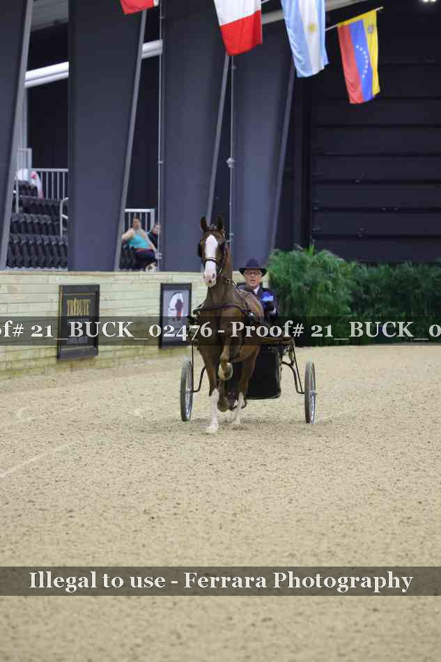 Proof 21_BUCK_02476