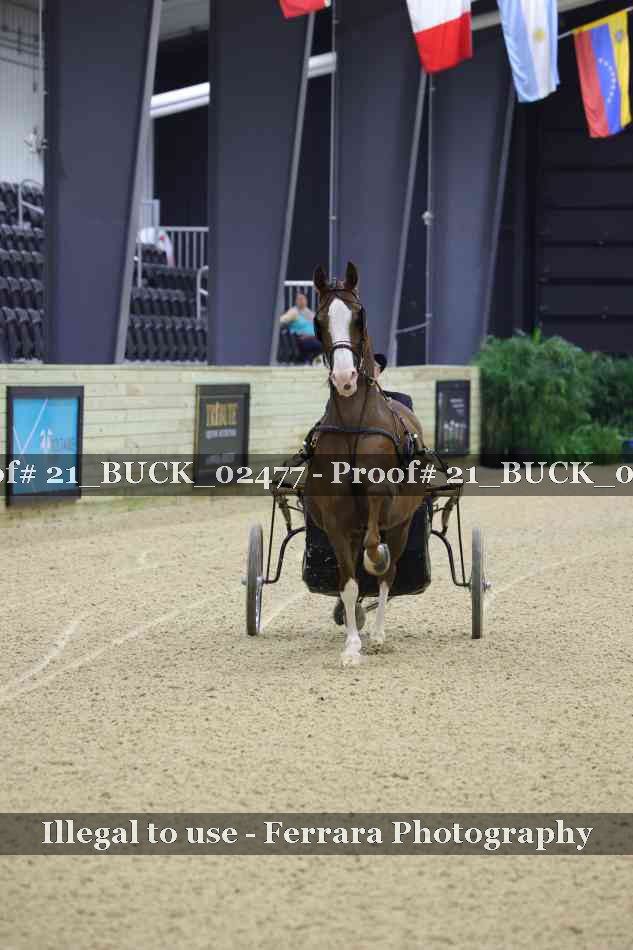 Proof 21_BUCK_02477