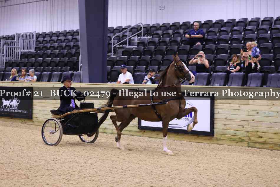 Proof 21_BUCK_02479