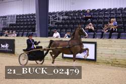 21_BUCK_02479 proof