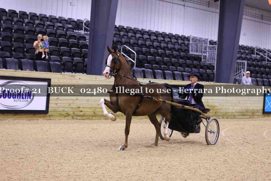 Proof 21_BUCK_02480