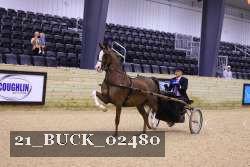 21_BUCK_02480 proof