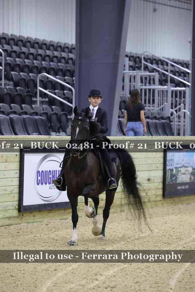 Proof 21_BUCK_02481