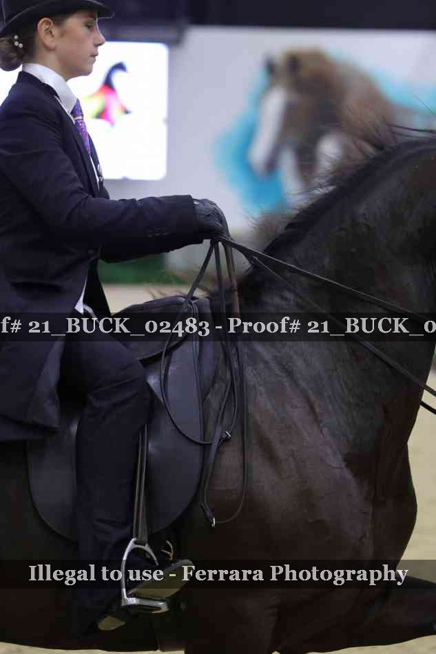 Proof 21_BUCK_02483