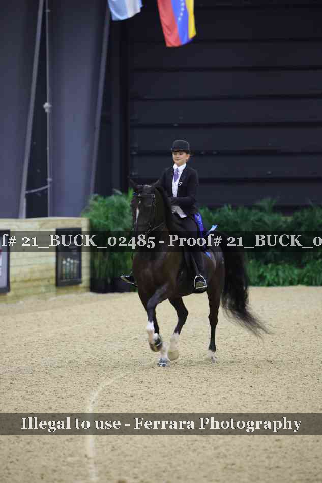 Proof 21_BUCK_02485