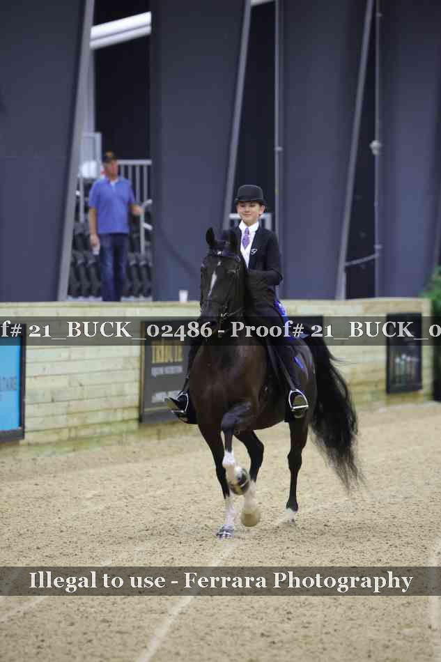 Proof 21_BUCK_02486