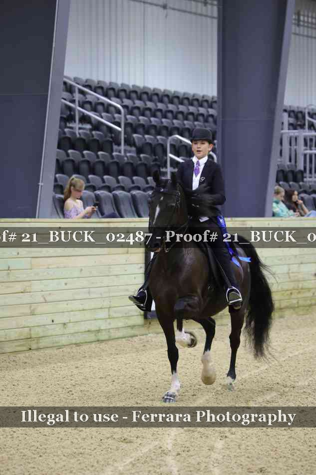 Proof 21_BUCK_02487