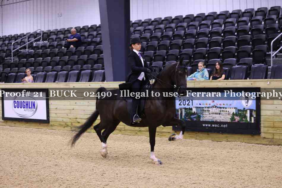Proof 21_BUCK_02490
