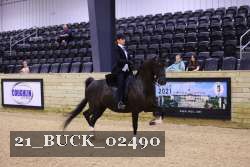 21_BUCK_02490 proof