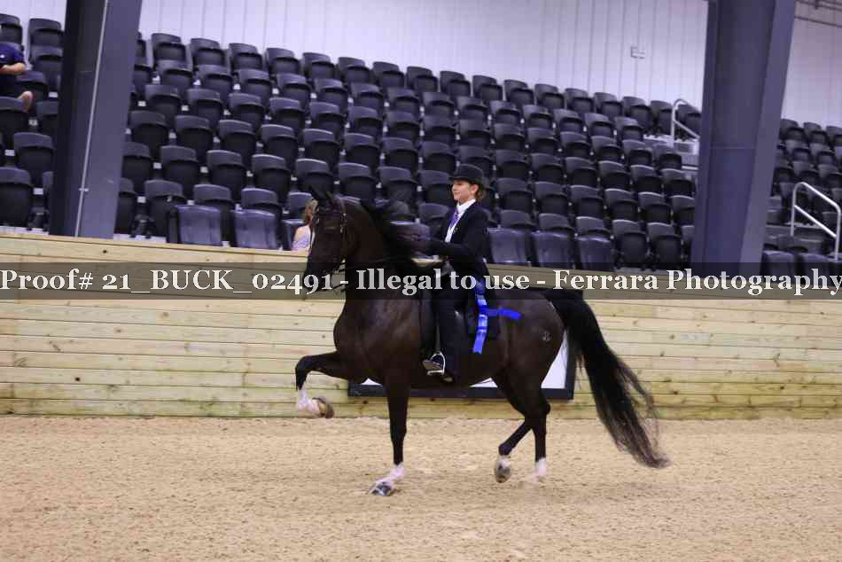 Proof 21_BUCK_02491