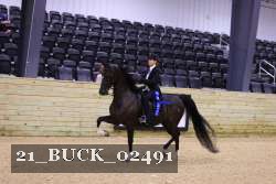 21_BUCK_02491 proof