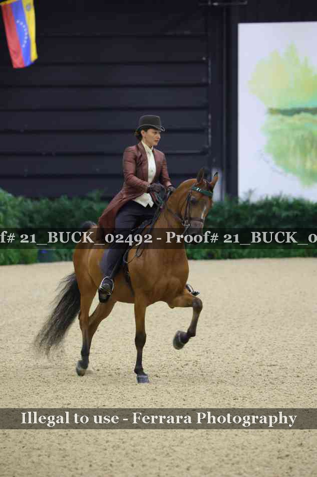 Proof 21_BUCK_02492