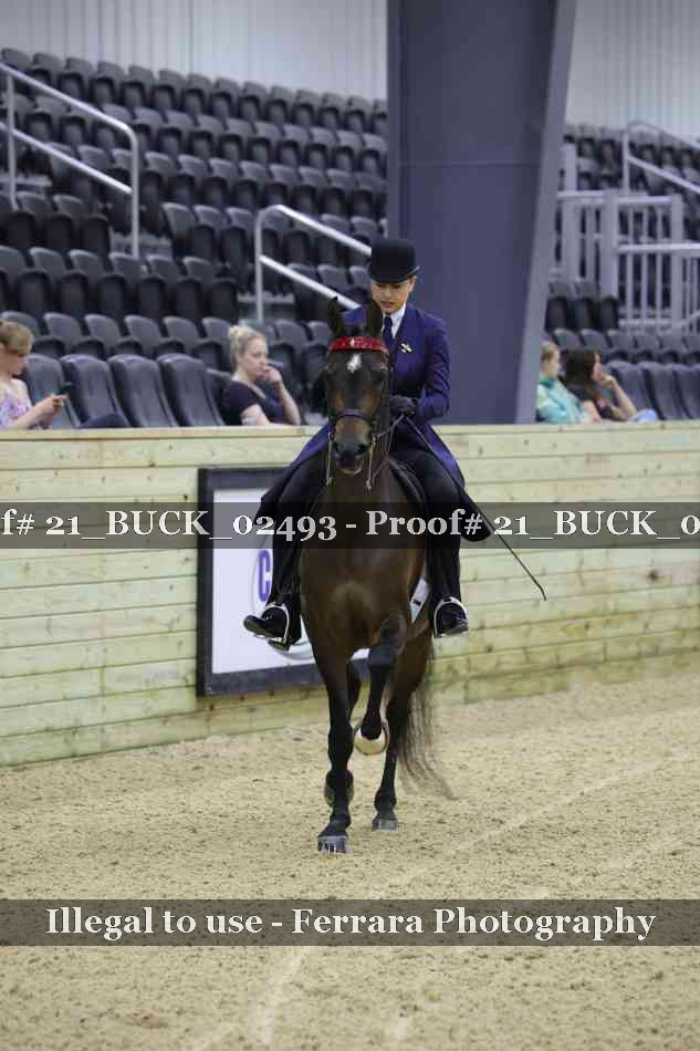 Proof 21_BUCK_02493