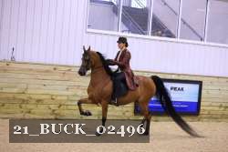 21_BUCK_02496 proof