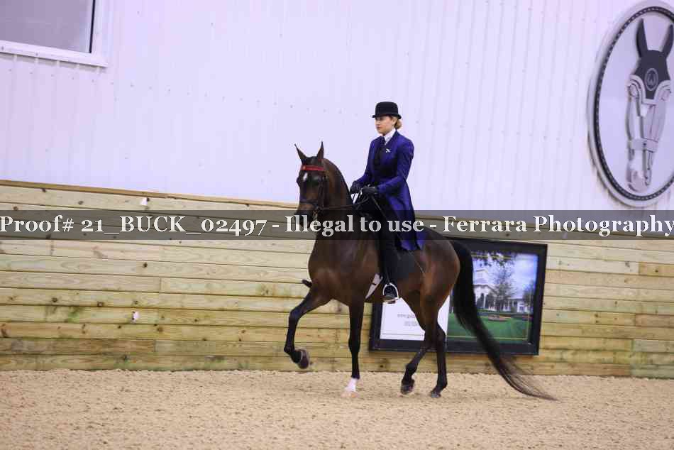 Proof 21_BUCK_02497