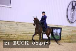 21_BUCK_02497 proof