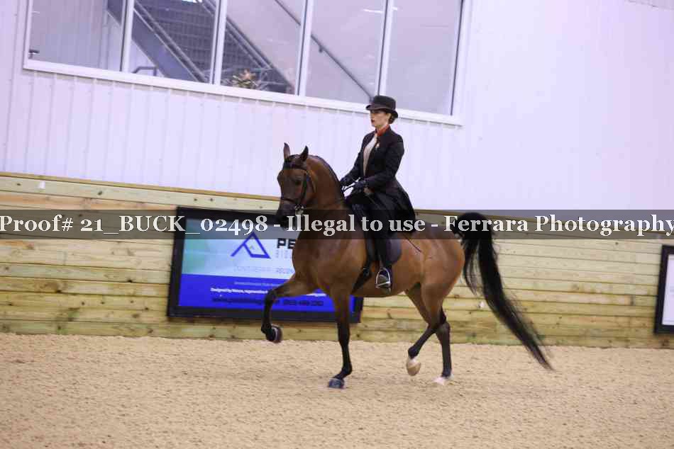 Proof 21_BUCK_02498