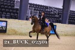 21_BUCK_02501 proof
