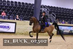 21_BUCK_02502 proof