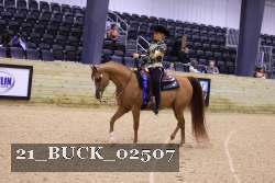 21_BUCK_02507 proof