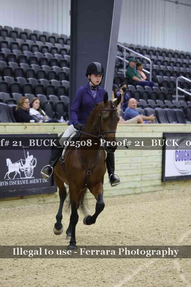 Proof 21_BUCK_02508