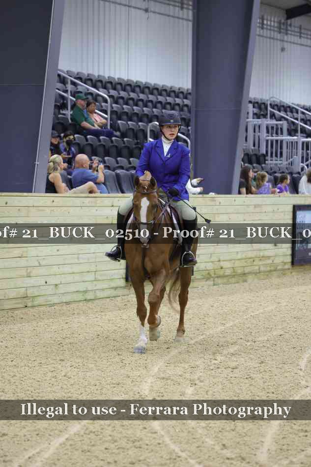 Proof 21_BUCK_02510