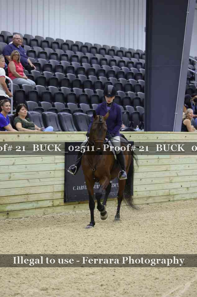 Proof 21_BUCK_02511