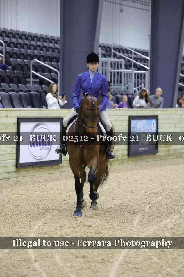 Proof 21_BUCK_02512