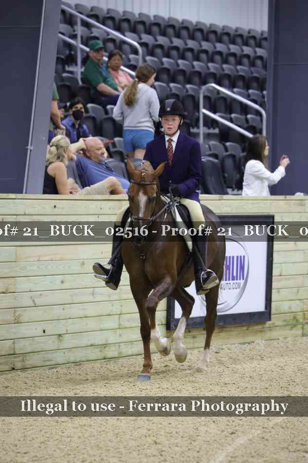 Proof 21_BUCK_02516