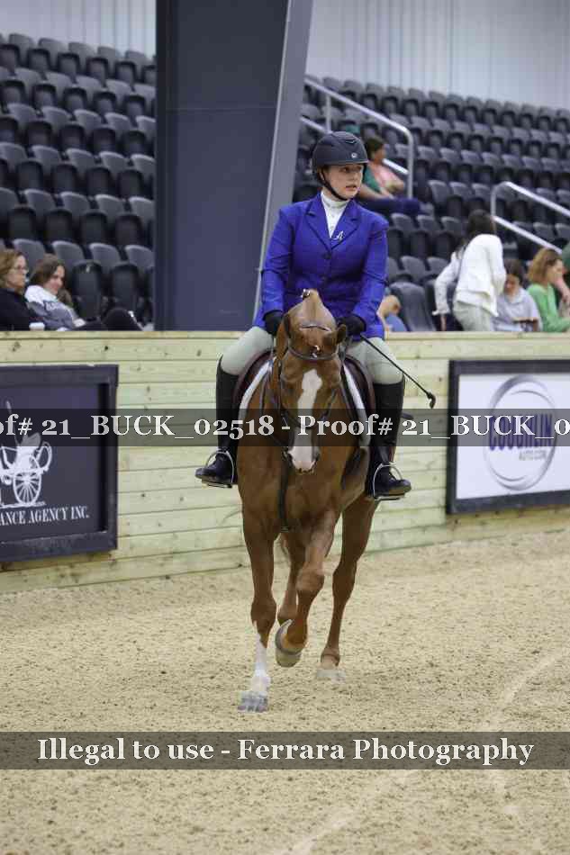 Proof 21_BUCK_02518
